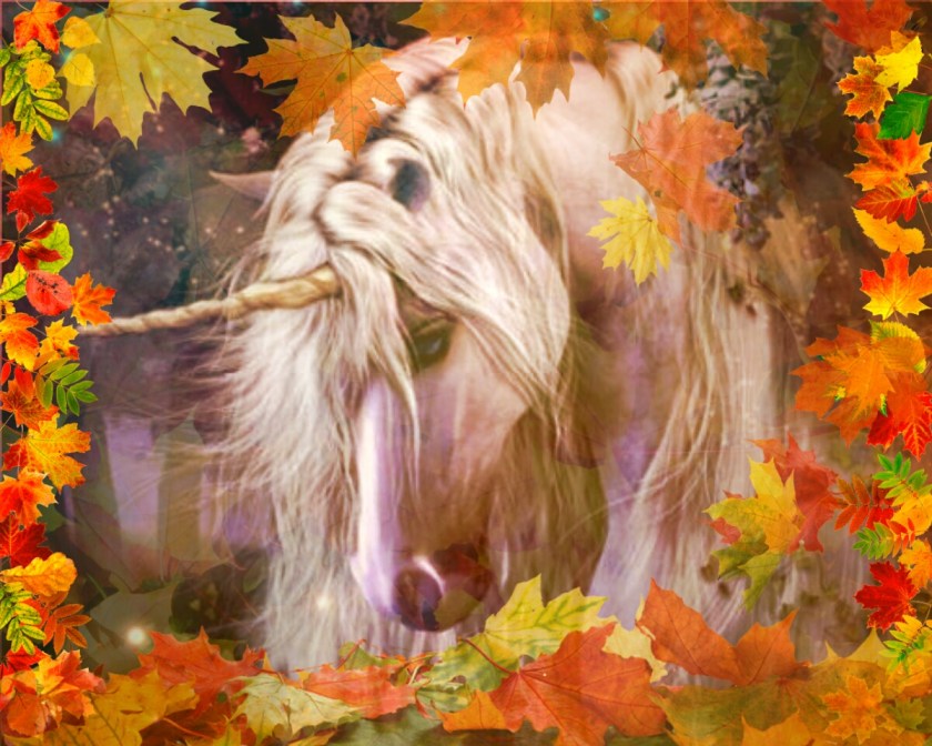 photostudio_1474484018812